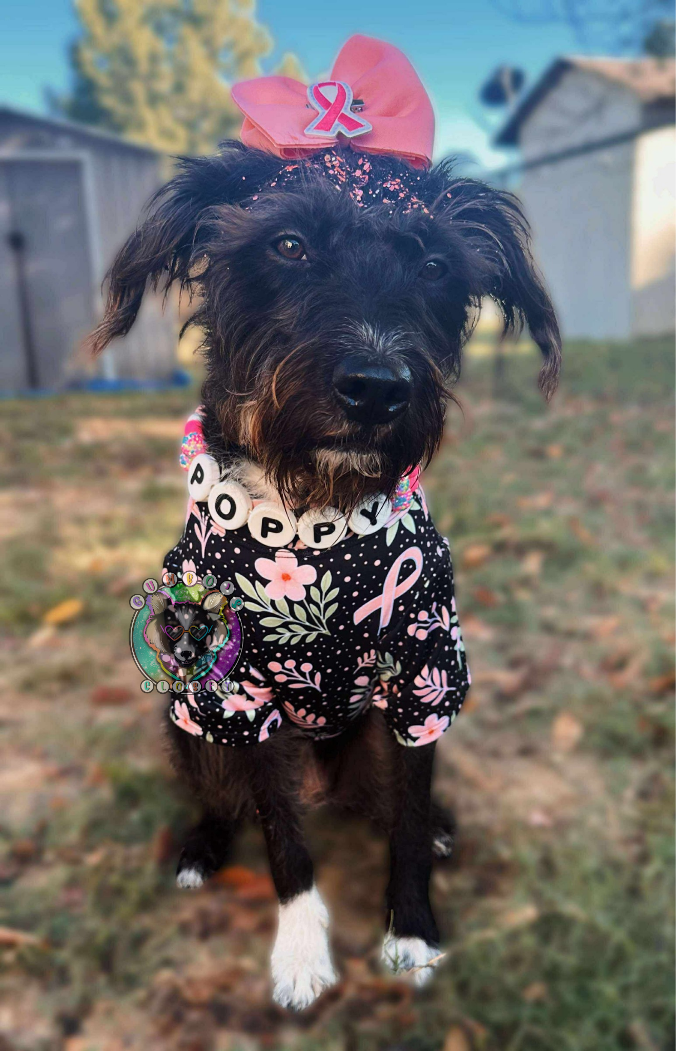 Custom Dog Shirt