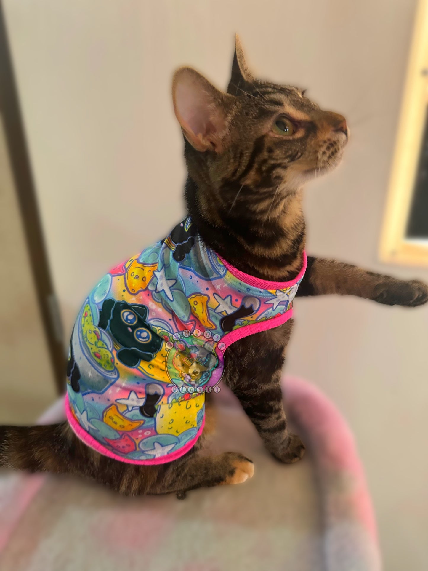 Custom Cat Shirt